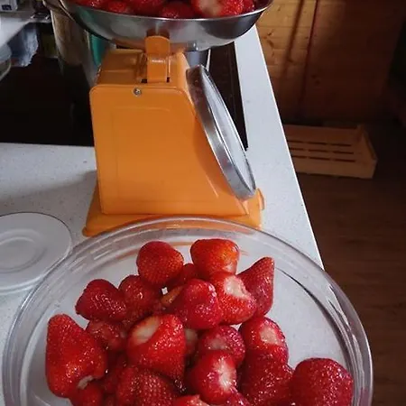 B&B La Rose Des Vents 3*