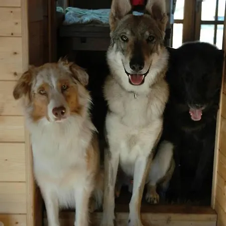 La Rose Des Vents B&B