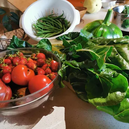 La Rose Des Vents 3*