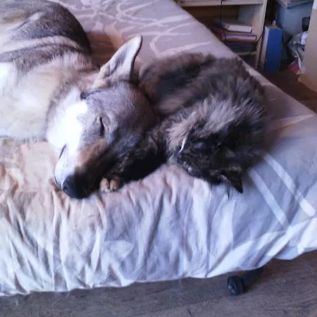 La Rose Des Vents 3*