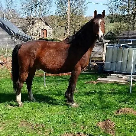 B&B La Rose Des Vents 3*